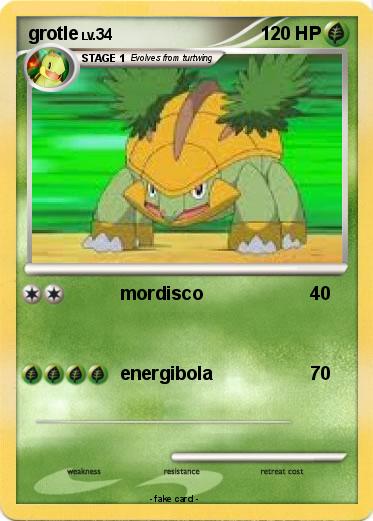 Pokemon grotle