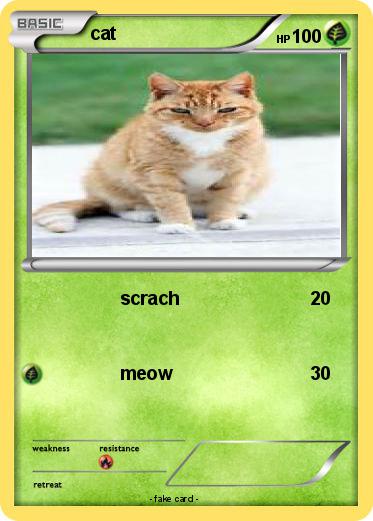 Pokemon cat