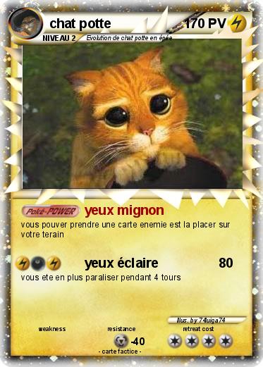 Pokemon chat potte