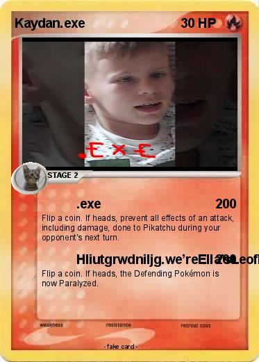 Pokemon Kaydan.exe