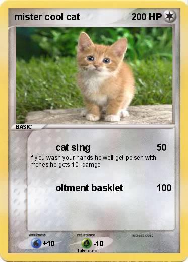 Pokemon mister cool cat