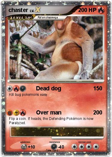 Pokemon chaster