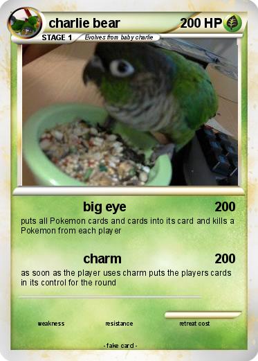 Pokemon charlie bear