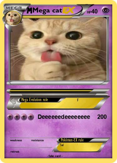 Pokemon Mega cat