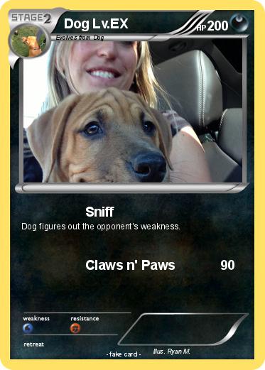 Pokemon Dog Lv.EX