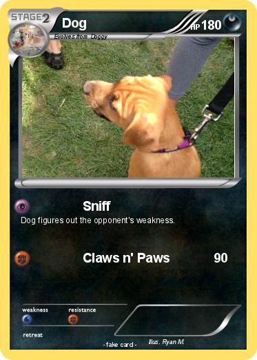 Pokemon Dog