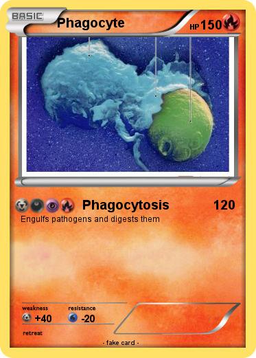 Pokemon Phagocyte