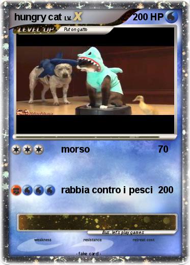 Pokemon hungry cat