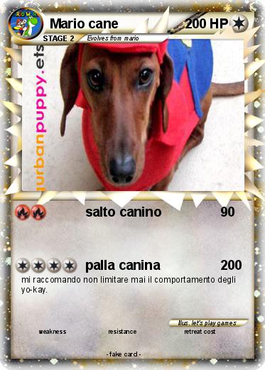 Pokemon Mario cane