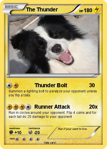 Pokemon The Thunder