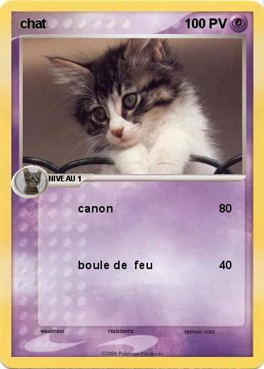 Pokemon chat