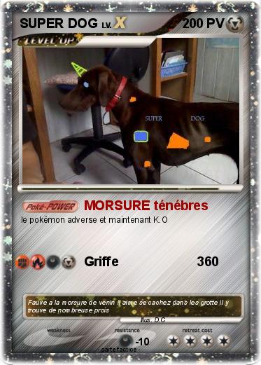Pokemon SUPER DOG