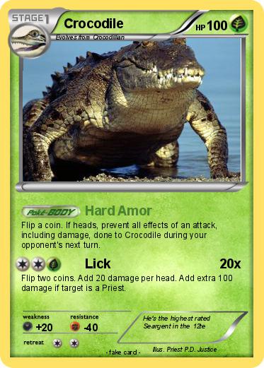 Pokemon Crocodile