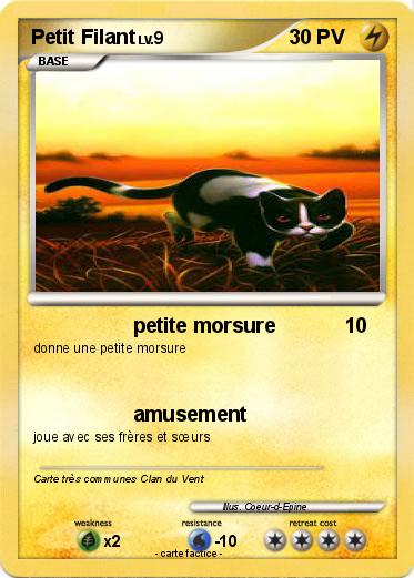 Pokemon Petit Filant