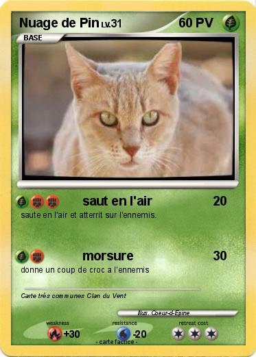 Pokemon Nuage de Pin