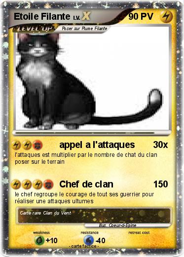 Pokemon Etoile Filante