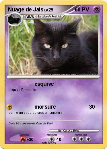 Pokemon Nuage de Jais