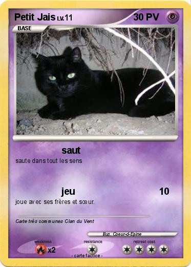 Pokemon Petit Jais