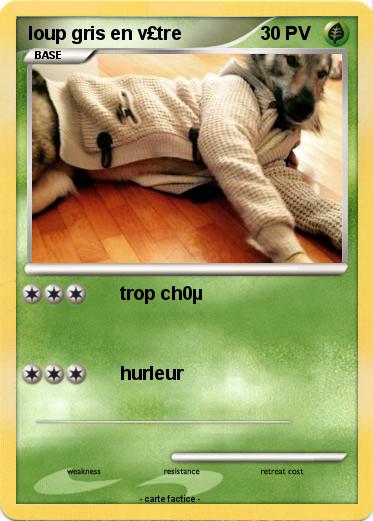 Pokemon loup gris en v£tre