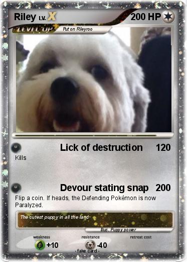 Pokemon Riley