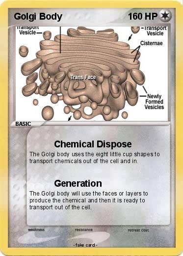 Pokemon Golgi Body
