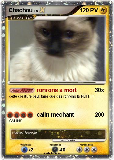 Pokemon Chachou