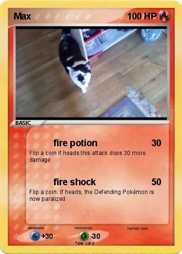 Pokemon Max