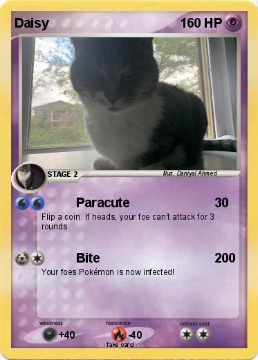 Pokemon Daisy