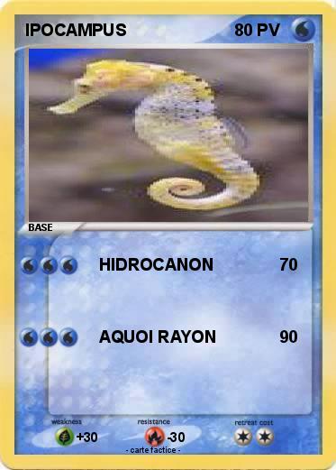 Pokemon IPOCAMPUS