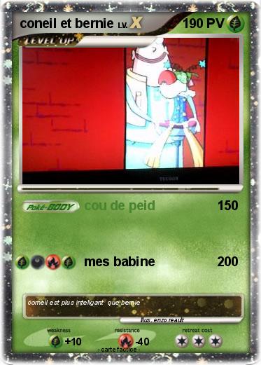 Pokemon coneil et bernie