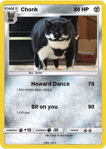 Pokemon Chonk