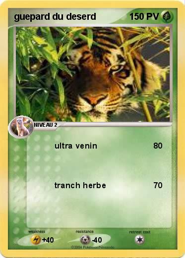 Pokemon guepard du deserd
