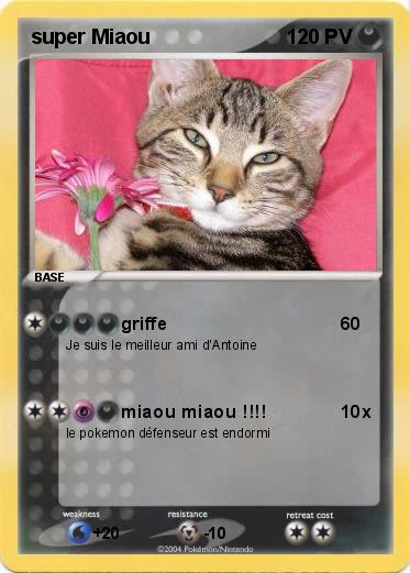 Pokemon super Miaou