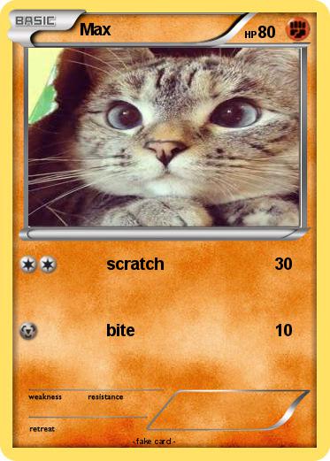 Pokemon Max