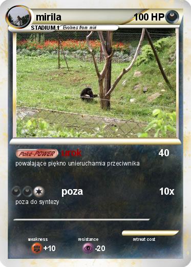 Pokemon mirila