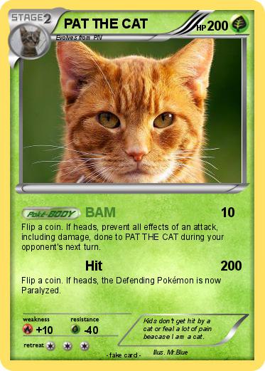 Pokemon PAT THE CAT