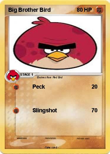 Pokemon Big Brother Bird