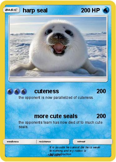 Pokemon harp seal