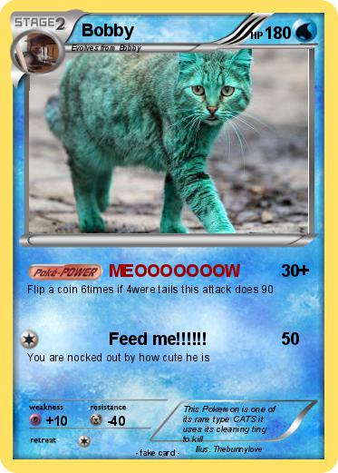Pokemon Bobby