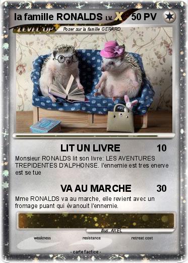 Pokemon la famille RONALDS