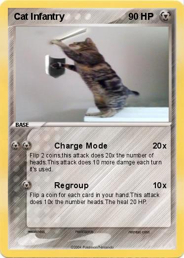 Pokemon Cat Infantry