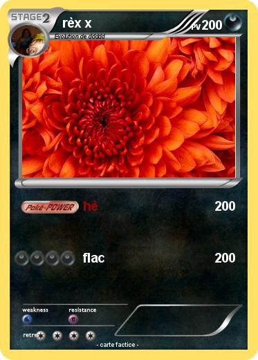 Pokemon rèx x