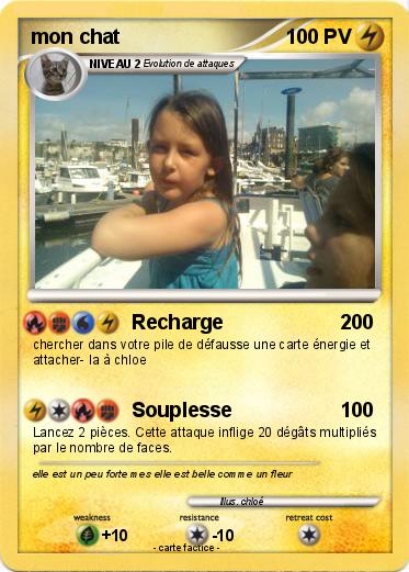 Pokemon mon chat