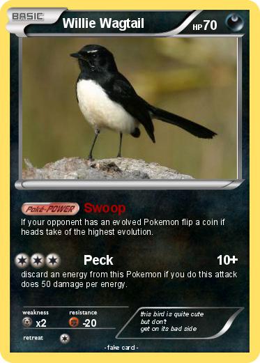 Pokemon Willie Wagtail