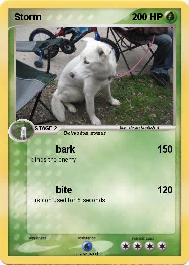 Pokemon Storm