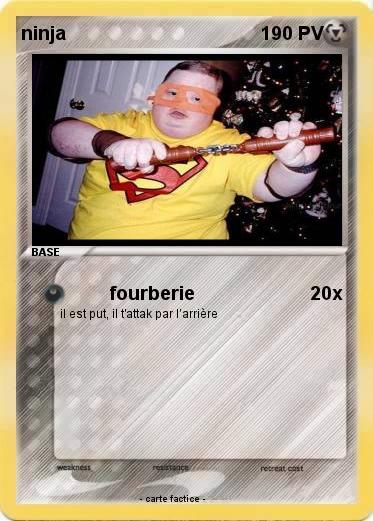 Pokemon ninja
