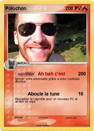 Pokemon Polochon