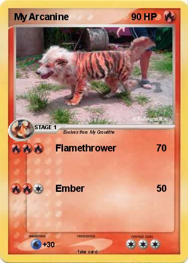 Pokemon My Arcanine