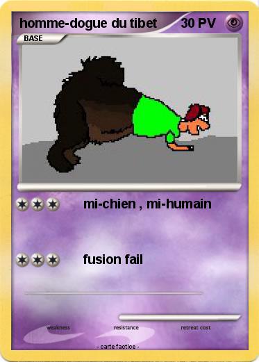 Pokemon homme-dogue du tibet
