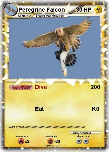 Pokemon Peregrine Falcon